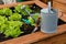 A raised bed with gardening tools and a watering can