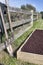 Raised Bed Vegetable Garden