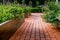 Raised beds in an urban garden growing plants flowers, herbs spices and berries