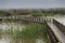 Raised boardwalk in the Natural Park of El Hondo