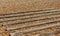 Raised boat support slats of a shingle beach