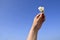 Raised female hand holds small bouquet of five wild daisies against clear blue sky. Walk in the open air. Beauty of nature.