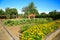 Raised flower beds in Kitchen garden