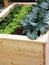 Raised garden bed for container gardening