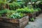 Raised garden beds filled with thriving vegetables in backyard