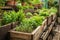 Raised garden beds filled with thriving vegetables in a sunny backyard