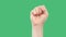Raised hand with clenched fist for protest on green screen background for alpha channel