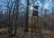 Raised hide for hunting in a forest