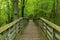 Raised Platform Walkway in Forest