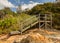 Raised steps through forest in NSW