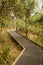 Raised walkway through forest in NSW