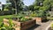Raised Wooden Garden Beds with Lush Greenery in Suburban Backyard