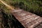 Raised wooden plank path meets stone pavement path in salty marsh near Nin, Croatia