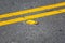 Raised yellow pavement marker separates opposing traffic lanes