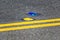 Raised yellow pavement marker separates opposing traffic lanes. The blue marker denotes a fire hydrant location