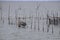 Raising fish in floating islands around Koh Yo Songkhla Lake Fisherman`s House at sunset at Songkhla Lake, Yo Island