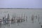 Raising fish in floating islands around Koh Yo Songkhla Lake Fisherman`s House at sunset at Songkhla Lake, Yo Island