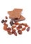 Raisins and portion of chocolate
