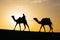 Rajasthan travel background - camel silhouette in dunes of Thar desert on sunset