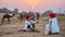 Rajasthani camel traders with their camels at sunset, in India.