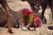 Rajasthani lady collecting camel stool