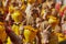 Rajasthani women wearing yellow and red sarees holding coconuts and pots take part in a religious procession in Bikaner, India.