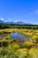 Rakatu Wetlands in New Zealand