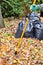Rake in the hand of the gardener while cleaning the yard against the background of bags with collected leaves