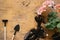rake shovel, soil and blooming geraniums on a wooden background, gardening and repotting concept of home flowers
