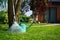 Rake and watering can near tree on green lawn