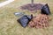 Raked pile of dried autumn leaves in a garden