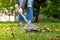 Raking fallen leaves in garden. Gardener woman cleaning lawn from leaves in backyard. Woman standing with rake. Autumnal seasonal