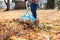 Raking leaves in the backyard on a fall day