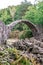 Rakotz Bridge Rakotzbrucke, Devil`s Bridge in Kromlau, Azalea and Rhododendron Park, Sachsen - Saxony, Germany