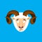 Ram confused emoji face avatar. Sheep is perplexed emotions. Far