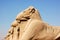 Ram headed Sphinxes, Karnak, Luxor