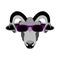 Ram sheep face in glasses vector illustration flat style