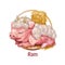 Ram swine resembling animal with horns and wool digital art. Piglet laying among hay bales sleeping and resting. Zodiac