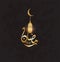 Ramadan kareem arabic calligraphy and traditonal lantern