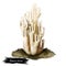 Ramaria stricta or strict branch coral mushroom closeup digital art illustration. Boletus has white or cream fruit body. Terminal