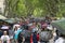 Rambla of Barcelona crowded on a rainy day