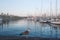 Rambla de mar, port, Barcelona Spain. A Seagull in front of many boats in morning fog