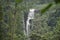 Ramboda Waterfall Sri Lanka