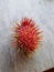 Rambutan fruit with smooth thorns like hair is a tropical fruitï¿¼