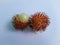 Rambutan fuit indonesian food healty fresh natural tribe nice honey