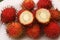 Rambutan hairy red berries close up photo