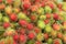 Rambutans Tropical Fruit
