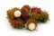 rambutans ,tropical fruit on white background