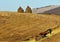 RAME, ROMANIA - Oct 28, 2015: a cart pulled by oxen in the Apuseni mountains