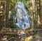 Ramona Falls by the Wooden Bridge in Oregon